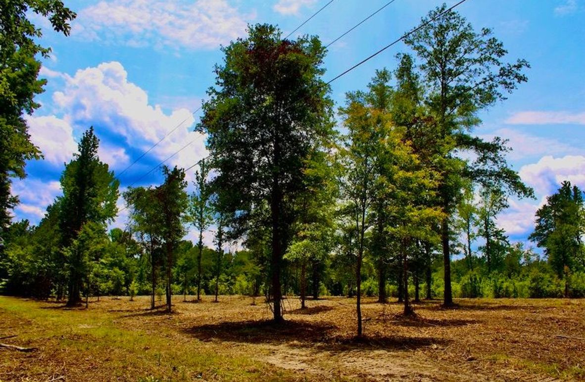 1AE3BDA6-6B5F-433D-A0C5-9D477D4FD5B2_1_105_c