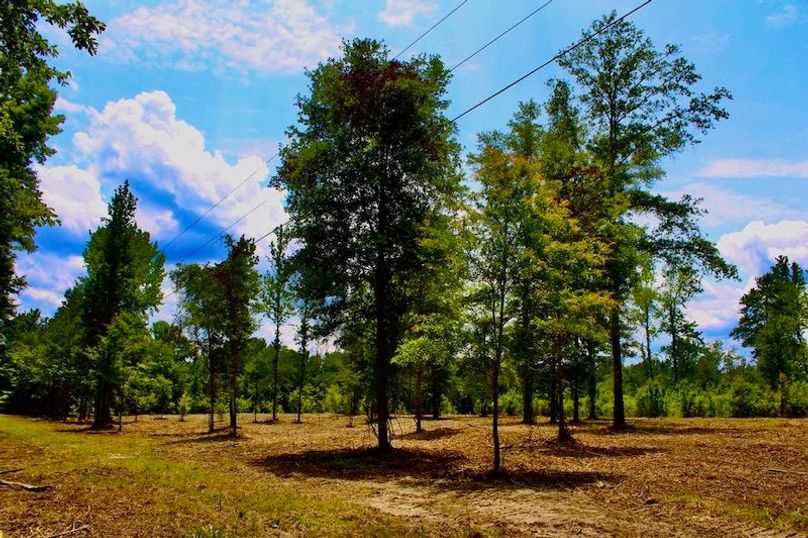 1AE3BDA6-6B5F-433D-A0C5-9D477D4FD5B2_1_105_c