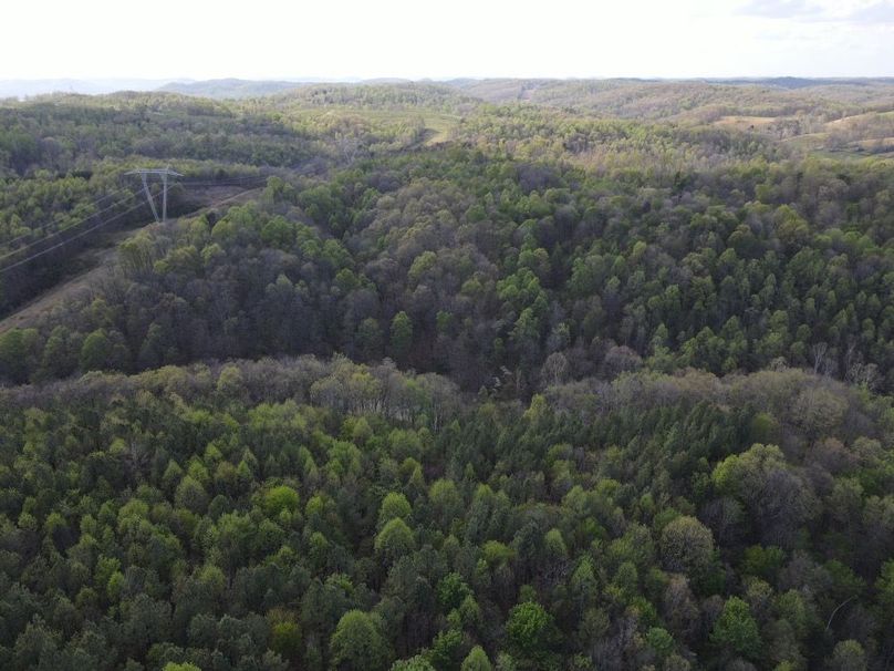 DJI_0882_W