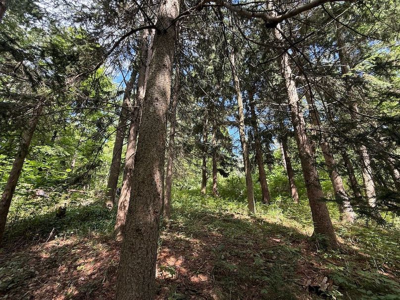 Ontario_2.7_Proseus Photo 19