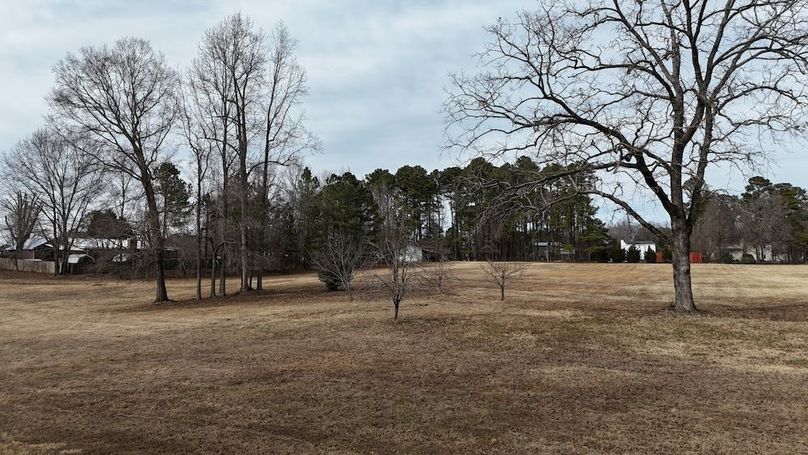 dji_fly_20260212_144006_0317_1770925833101_photo