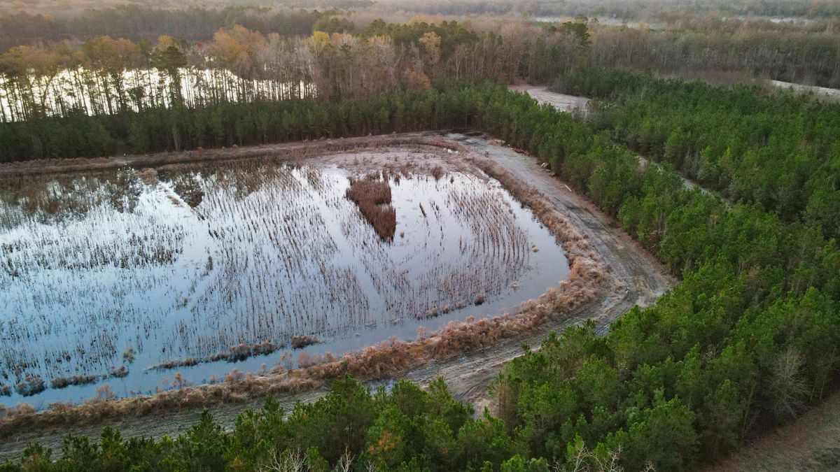 Willowbank Plantation Whitetail Properties