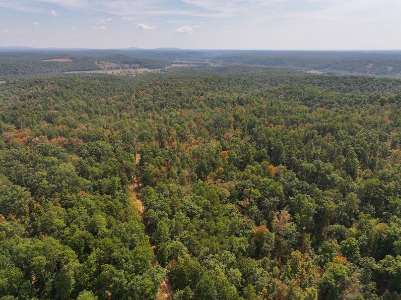 DJI_20250915125338_0641_D