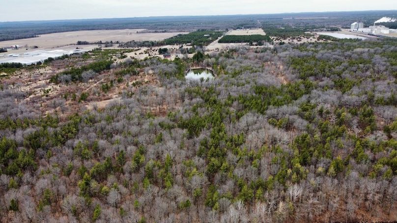 dji_fly_20250404_130506_756_1744067493011_photo_optimized 2