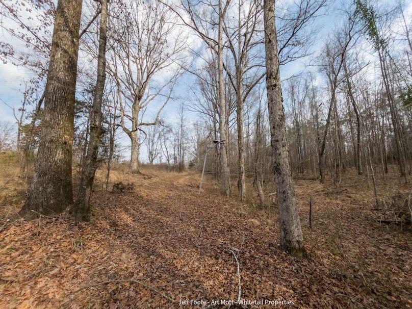 Holmes County - 108 - Rodriguez-63