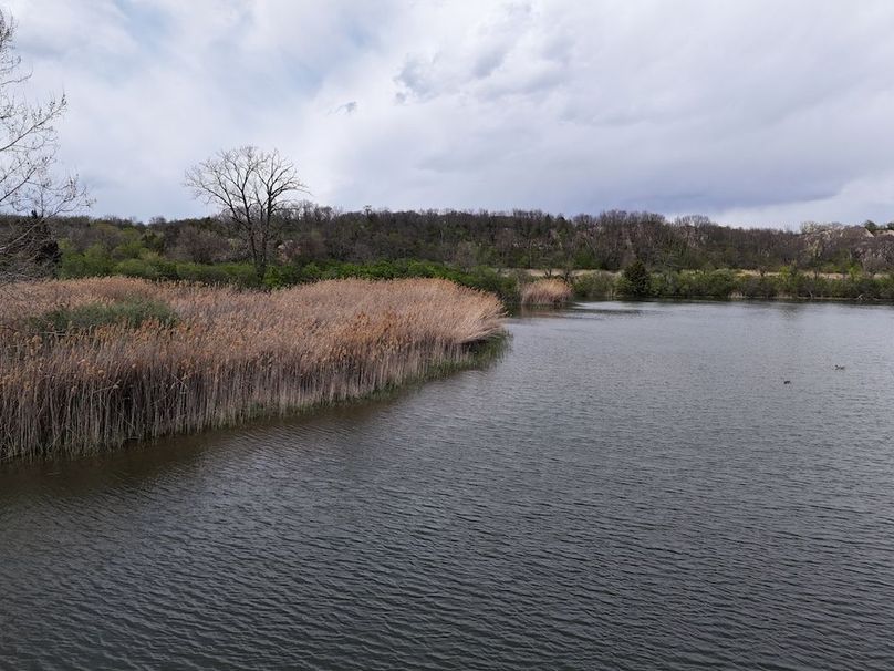 DJI_20260419135205_0603_D