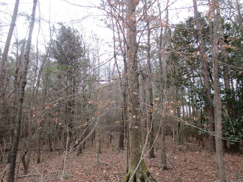 A84BCEE9-B3F9-453B-9542-016060159602