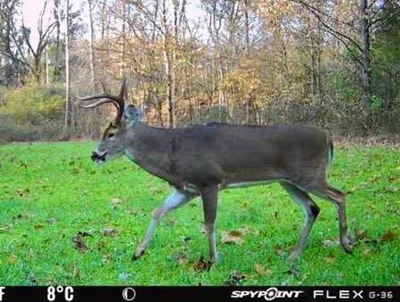 F999E1B3-FCA4-4D0D-A0E5-F986C3EA65F4_4_5005_c