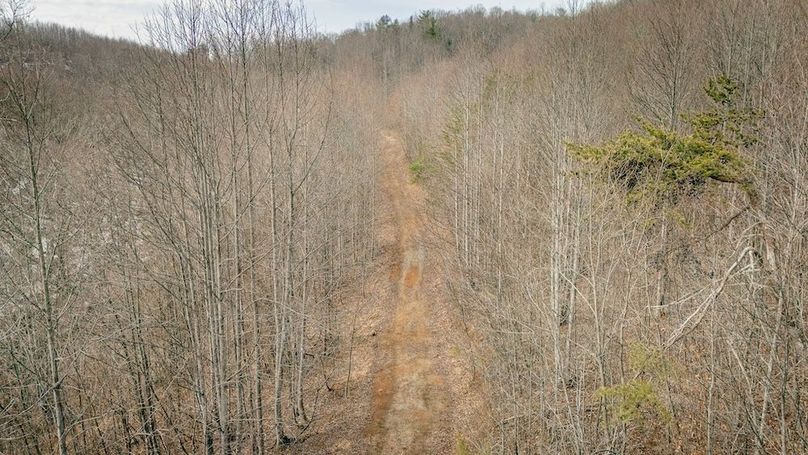 DJI_20260217121600_0120_D