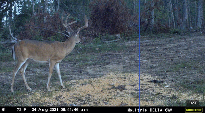 Screenshot 2023-07-27 at 9.58.45 PM