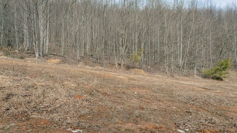 DJI_20260217121828_0123_D