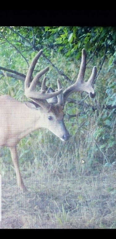 Resized_Screenshot_20190923-191421_Gallery