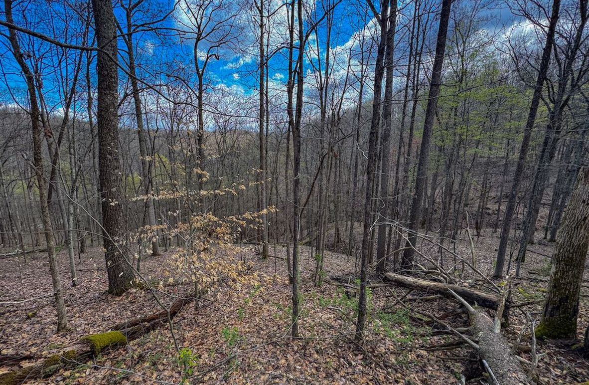 Wirt, WV 62.5 AC Full-04