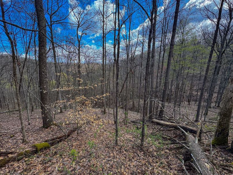 Wirt, WV 62.5 AC Full-04