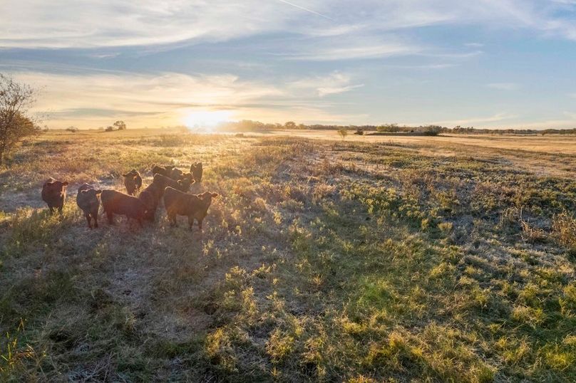 Cooke County- 13.5 acres no pond (2.5 of 21)