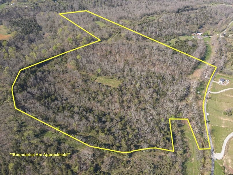 14-DJI_20260412101008_0006_WL