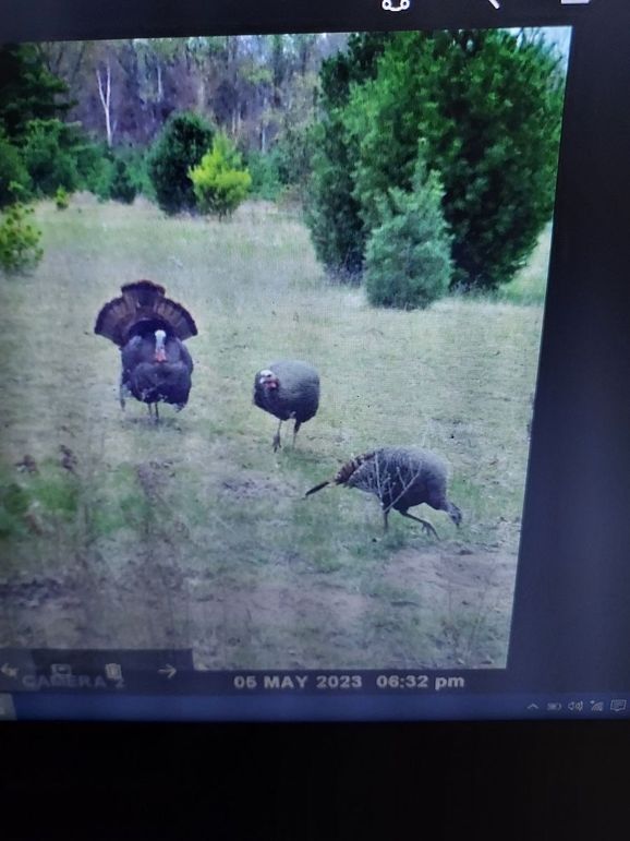 Resized_20230708_223016