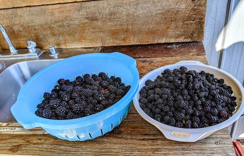 PXL_20210703_125706647~3