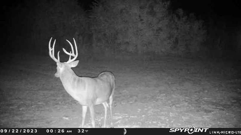 trail cam 7