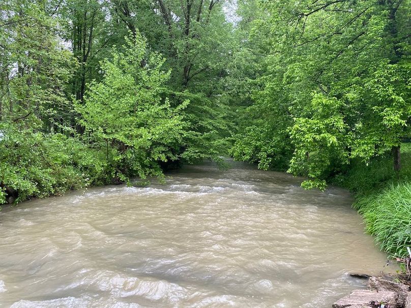 003 Bullskin Creek flowing in front of the cabin after a nice rain the night before  copy