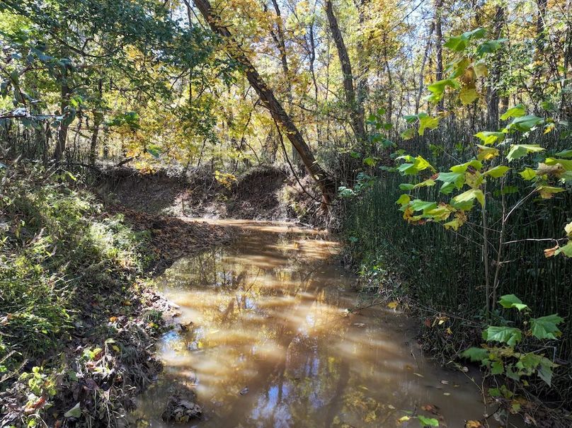 Copy of DJI_20251031134517_0798_D