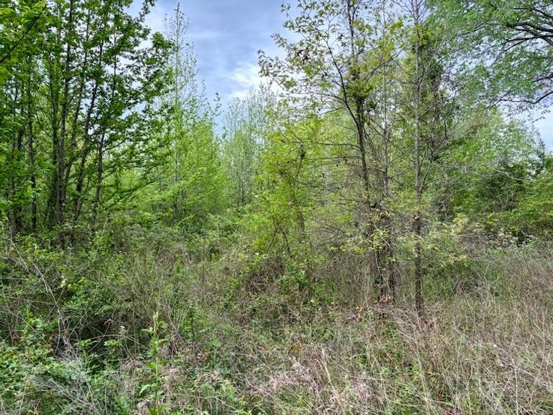 7D889BBF-9092-4433-BAA8-F725FB21DE89_1_105_c