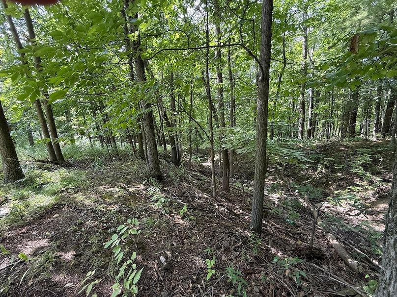 Ontario_2.7_Proseus Photo 14