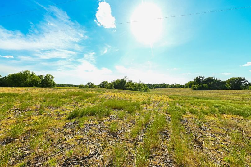 Copy of st clair 25 auction(12)