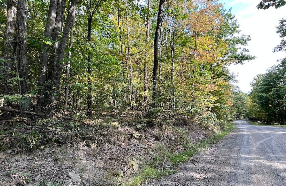 Chemung_17.45_Delsey Photo 4