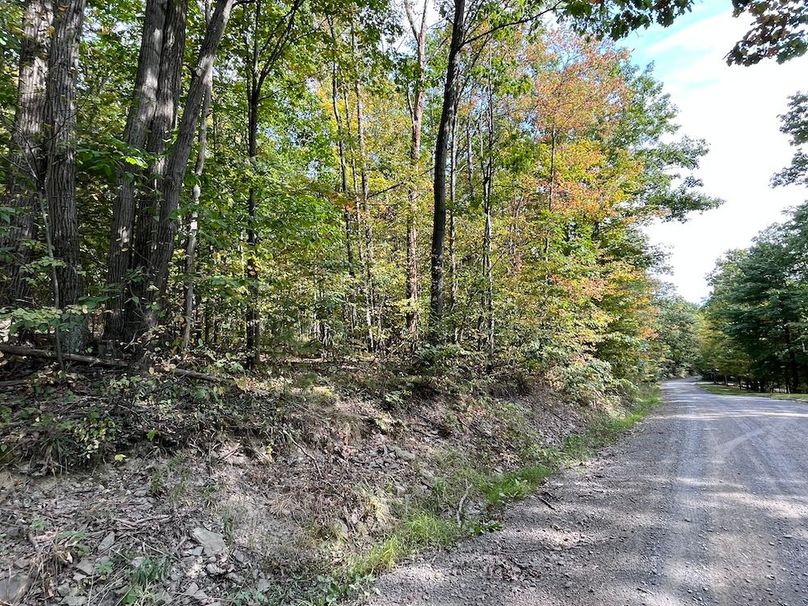 Chemung_17.45_Delsey Photo 4