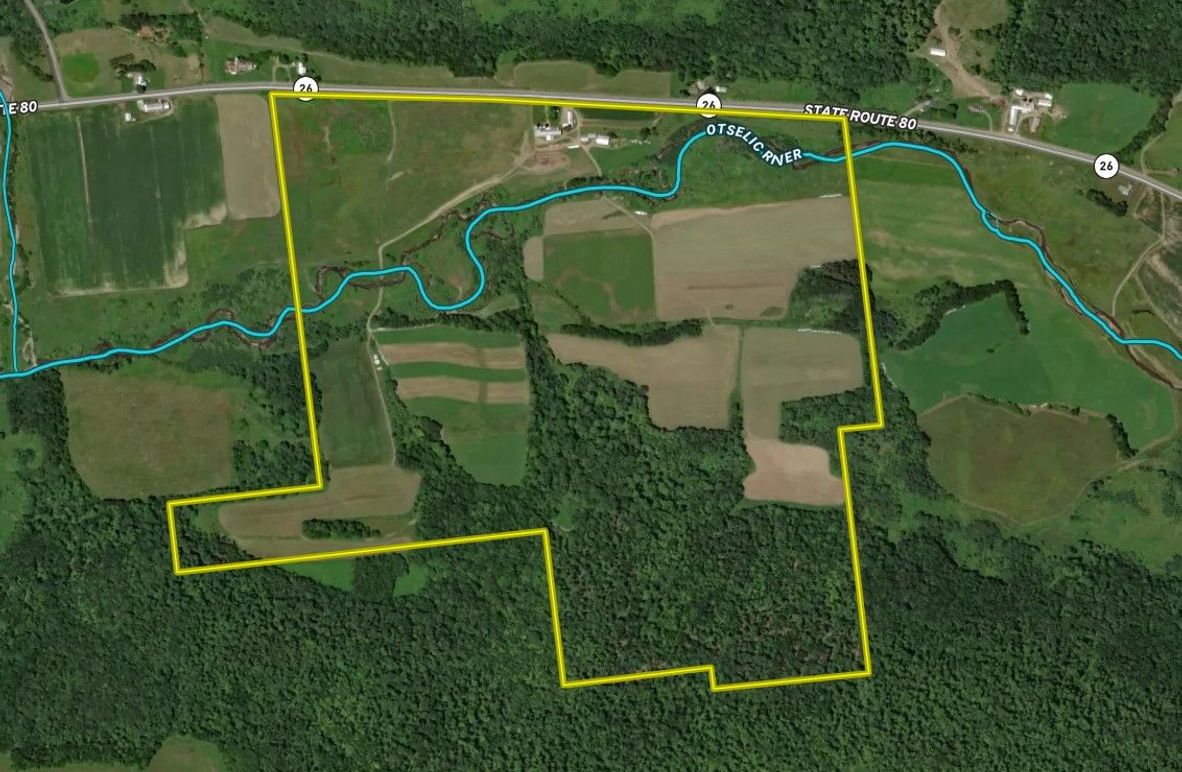 Madison 222.59 Justh Google