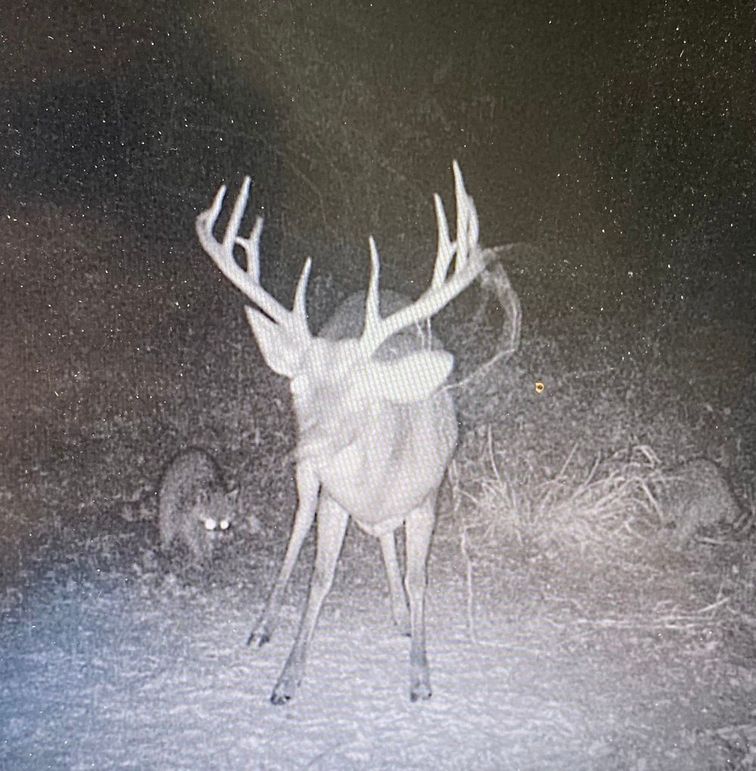 65549589240__64C6691B-6183-47BC-AF67-8B738D014A57