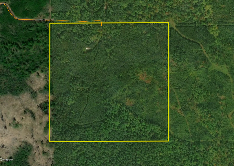 Screenshot 2025-10-06 at 12.30.05 PM