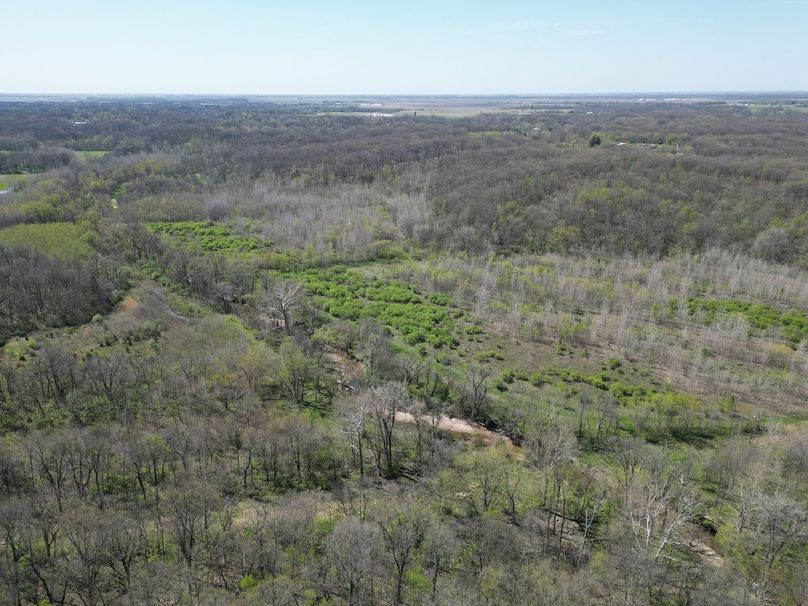 DJI_0237