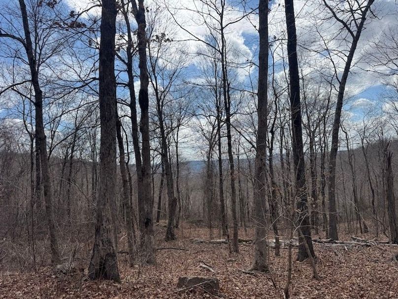 stone8020260306_0082