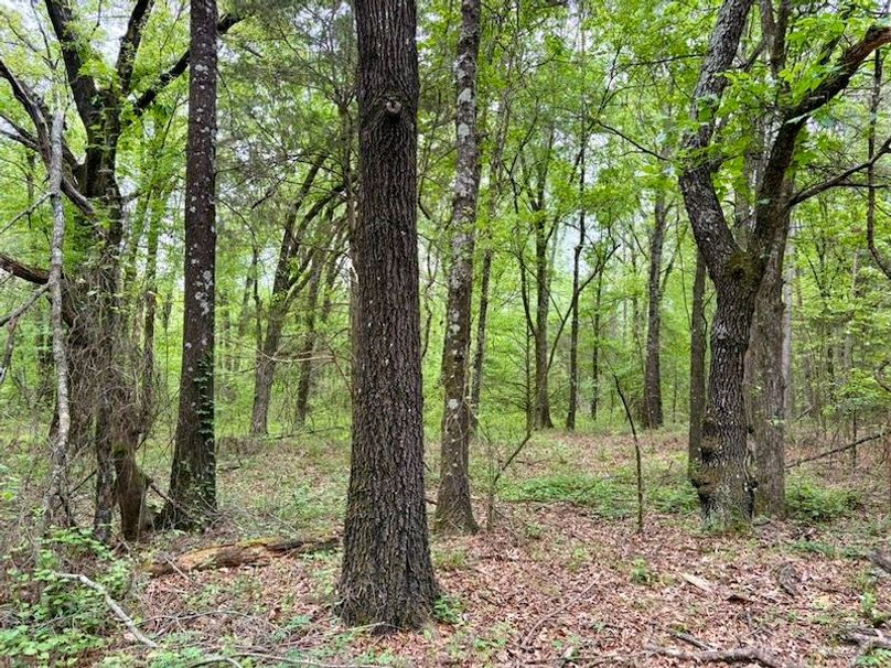 F63FCA07-0ACD-490C-B0AE-972D758088F5_1_105_c