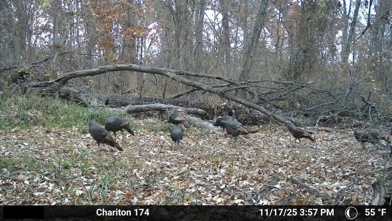 Temp_2704404-20251118132726-100MFCAM_MFDC0178