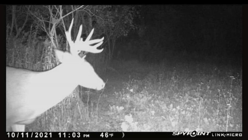 Screenshot_20220717-161047_Facebook