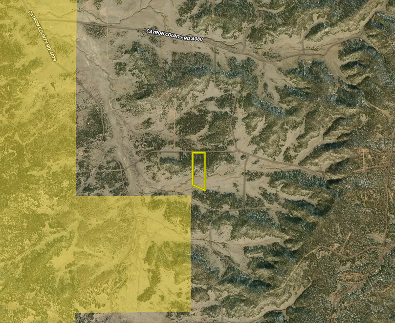 Screen Shot 2024-01-25 at 11.47.03 AM