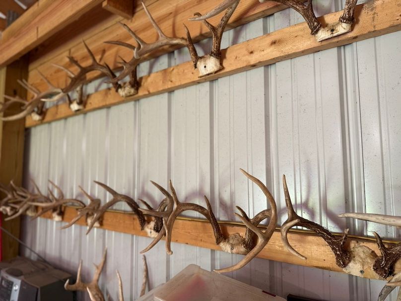 Cayuga_55.02_Herman Photo 24