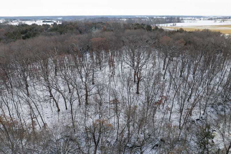 Small Hunting Property In A Great Area In Southern Iowa Whitetail