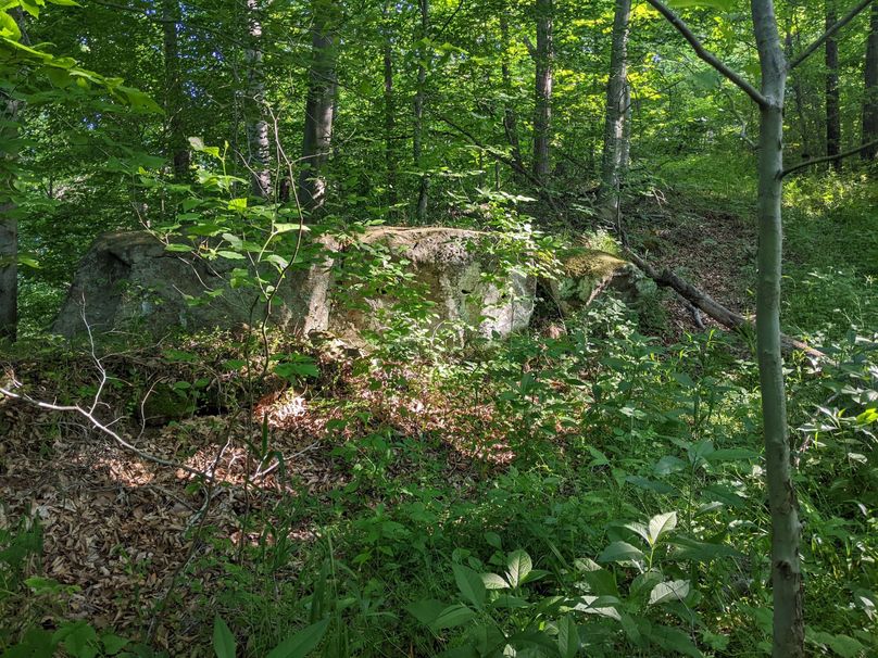 PXL_20230602_132655964