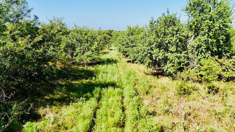 dji_fly_20250728_095106_0053_1753739692584_photo