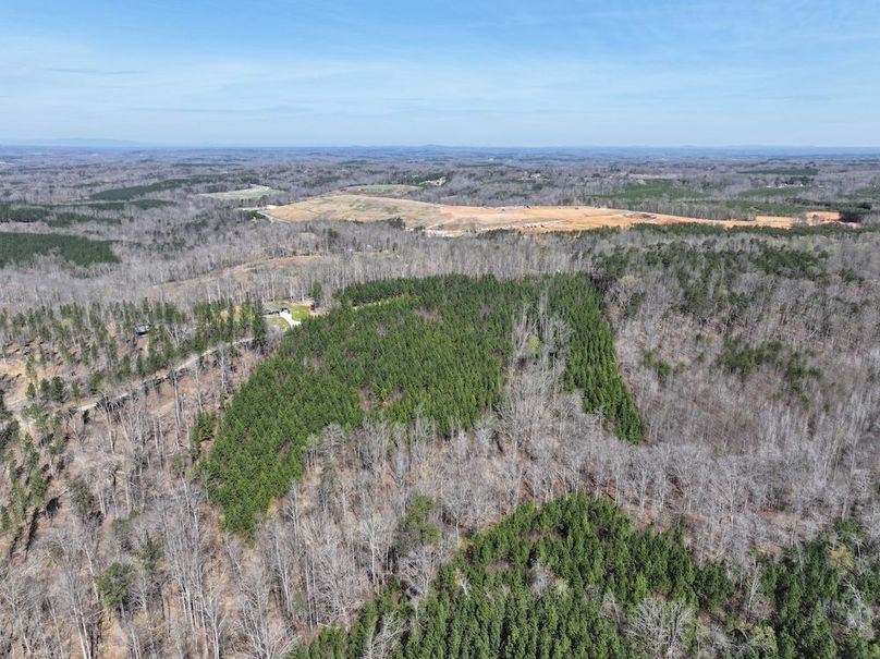 dji_fly_20260325_115658_0650_1774539291883_photo