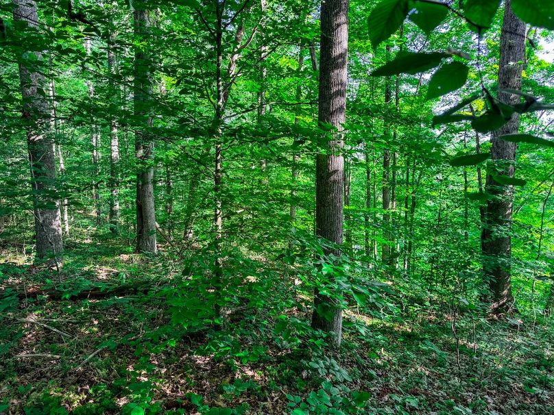 Ritchie, WV 20 AC Thompson-06