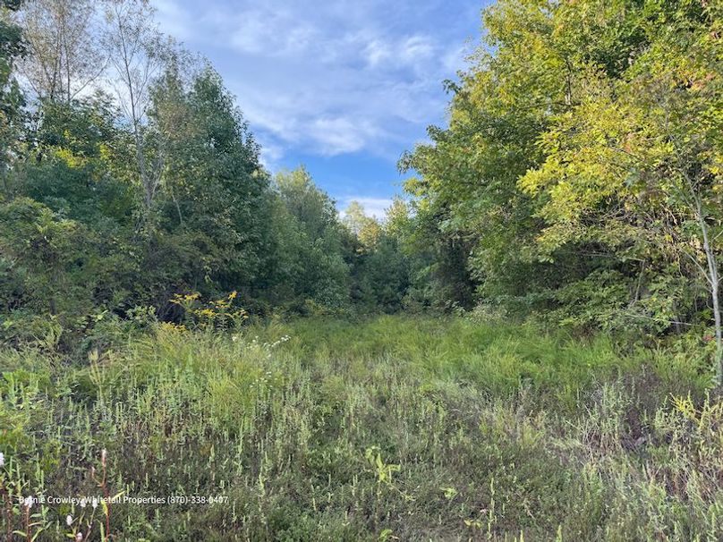 DeSoto 329 Prewett (Thompson) -31