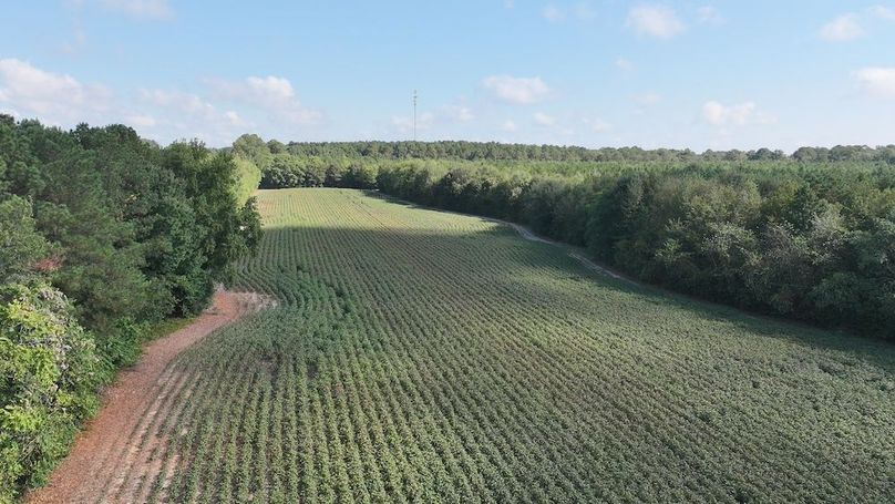 DJI_20250911024025_0318_D