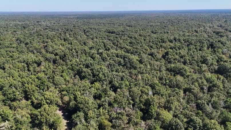 dji_fly_20251015_010934_0066_1760476850824_photo