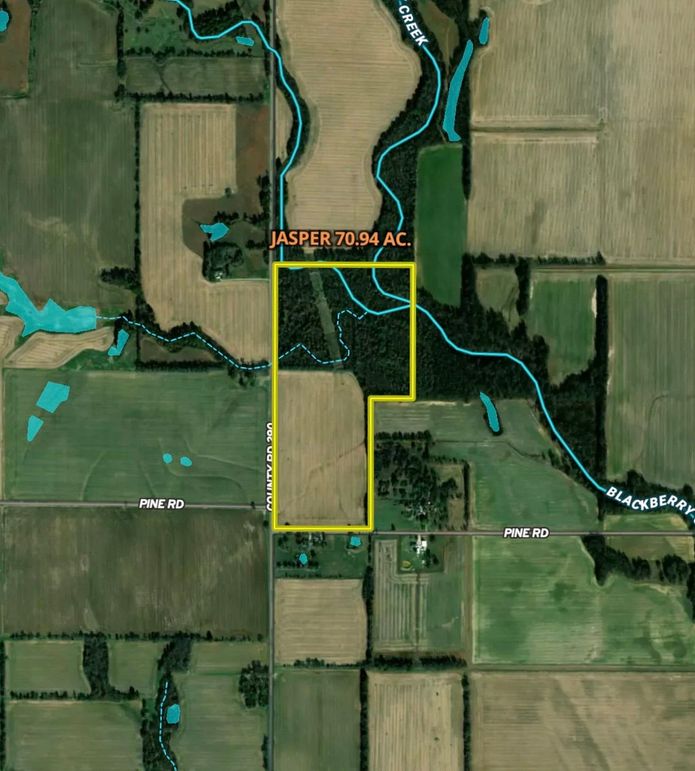 Screenshot 2026-03-23 at 4.33.18 PM