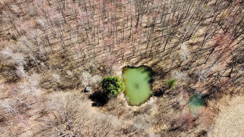 dji_fly_20250416_121006_848_1744914754627_photo_optimized